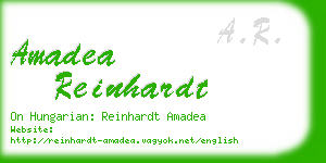 amadea reinhardt business card
